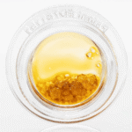 Dank Korner House Full Spectrum Extract - 1g - GMO Pizza