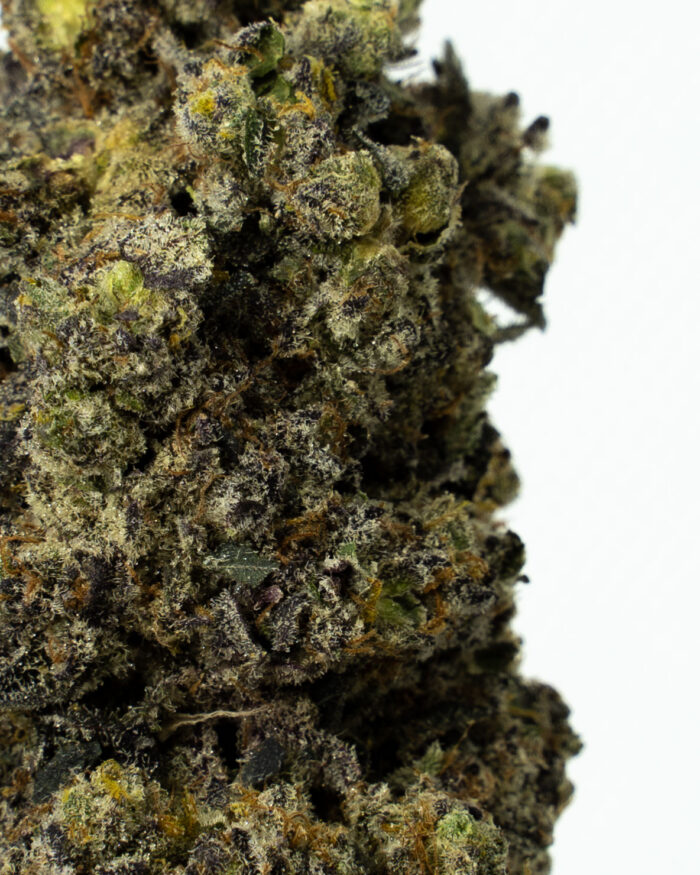 Alien Breath - Image 2