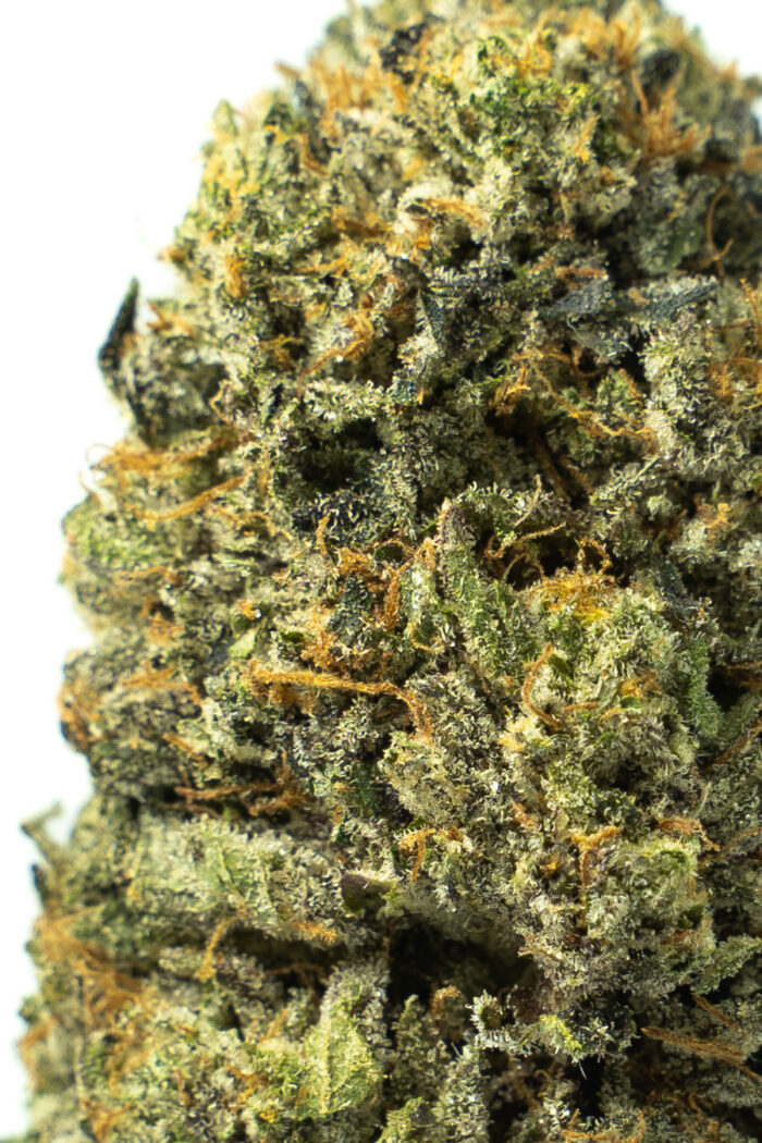 Bubba Kings - Bubba God - Image 2