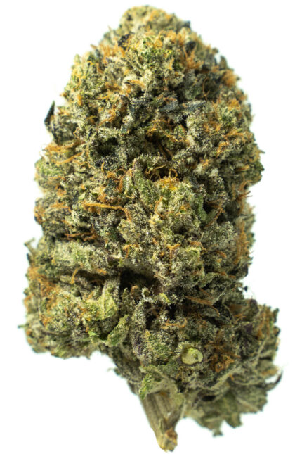 Bubba Kings - Bubba God