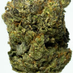 Flight 23 by Bubba Kings