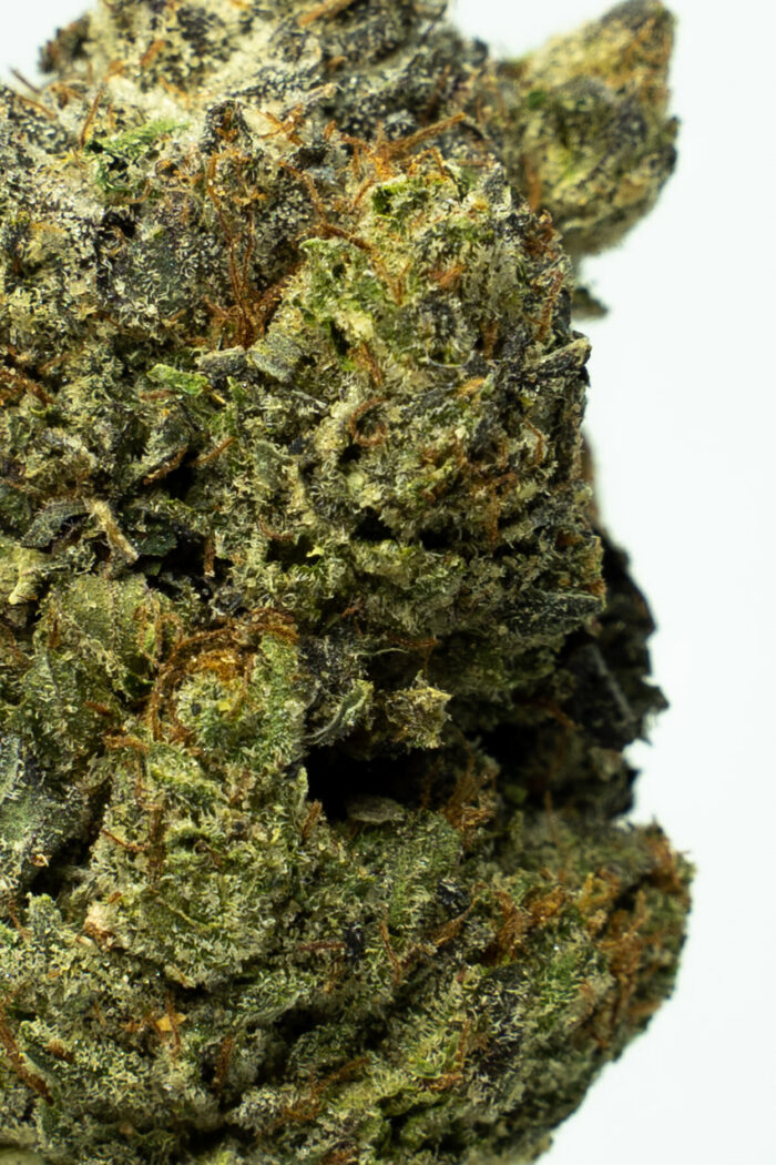 Flight 23 by Bubba Kings - Image 2