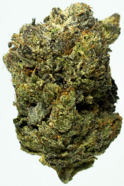 Flight 23 by Bubba Kings