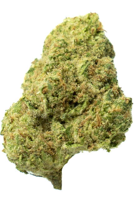 Sugar Cookie