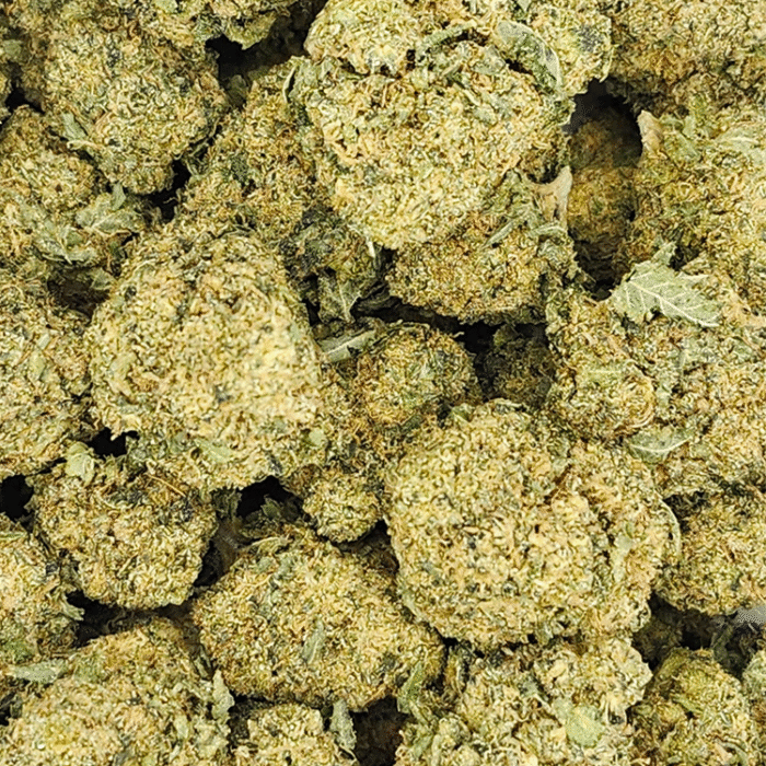 Gorilla Butter - Image 2