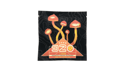 Room 920 Amazonian Cubensis Mushrooms - 1g - Iced Tea Drink Mix