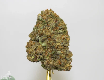 Mandarin Cookies