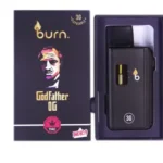 Burn Disposable Vapes - 3g - Godfather OG