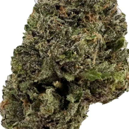 Bubba Kings - Lizard