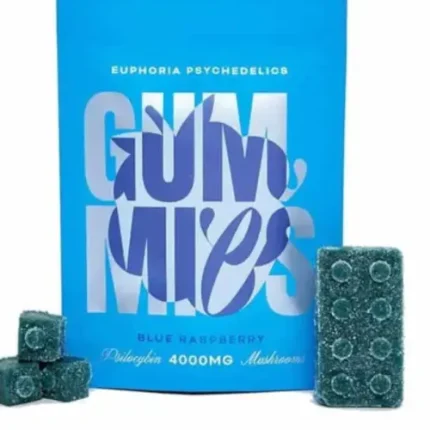 Euphoria Psychedelics - Blue Raspberry Psilocybin Gummies
