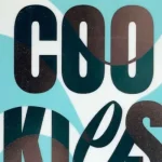 Euphoria Psychedelics Chocolate Bar– 1200mg - Cookies and Cream