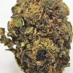 Gorilla Glue - 1 Oz.