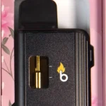 Burn Disposable Vapes - 3g -  Pink Kush