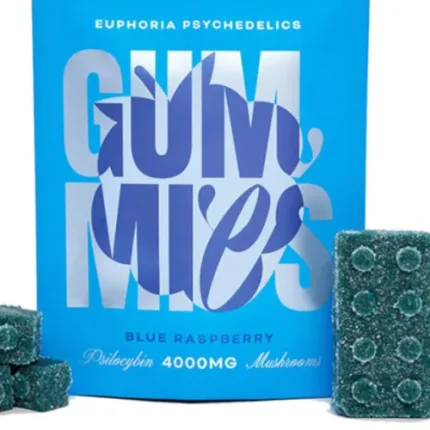 Euphoria Psychedelics Gummy 4000mg Psilocybin - Blue Raspberry