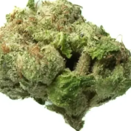 Black Gas Smalls