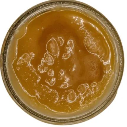 Runtz - Wet Live Resin - 250g Jar