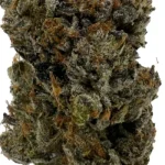 Bubba Kings - Mike Tyson