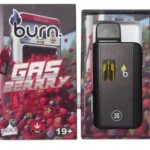 Burn Disposable Vapes - 3g - Gas Berry