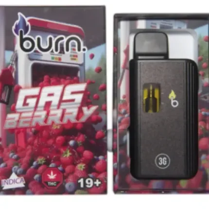 Burn Disposable Vapes - 3g - Gas Berry