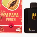 Burn Disposable Vapes - 3g - Papaya Punch (Hybrid)