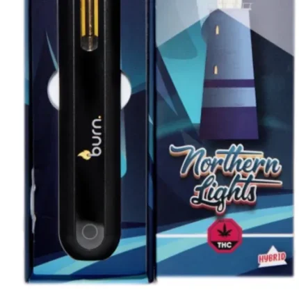 Burn Distillate Disposable Pen - 2g - Northern Lights