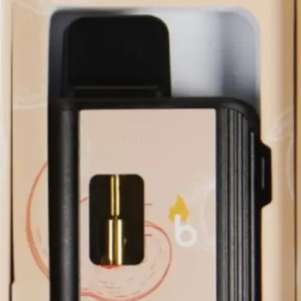 Burn Disposable Vapes - 3g - Peach (Hybrid)