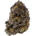 Katsu by Bubba Kings