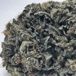Cookies N Chem