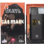 Burn Disposable Vapes - 3g - Gas Mask