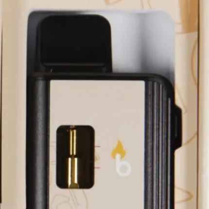 Burn Disposable Vapes - 3g - Pinacolada (Indica)